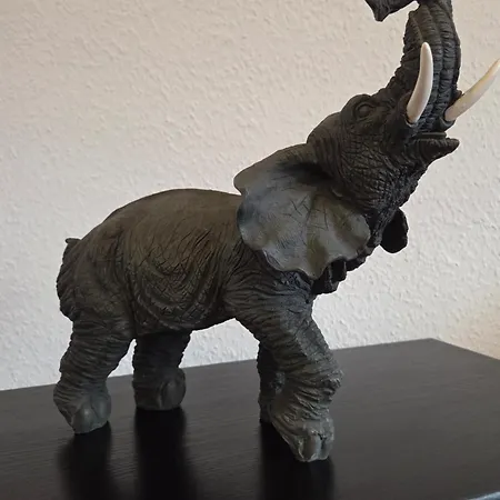 Am Saaleradwanderweg * Merseburg